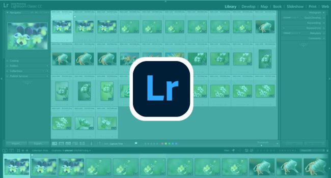 Lightroom Application