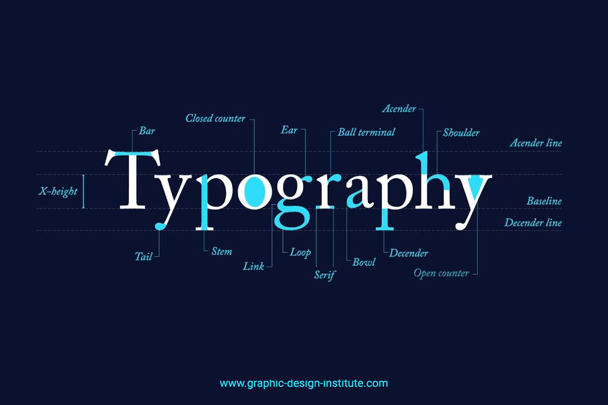 Anatomy of Typography for Designers