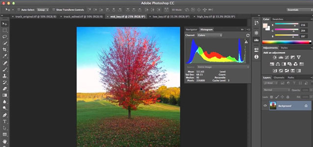 Histogram