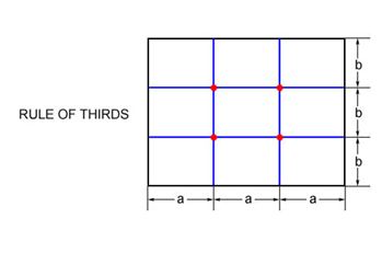 Divide the page into third