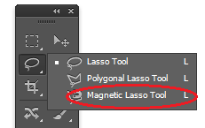 magnetic lasso tool